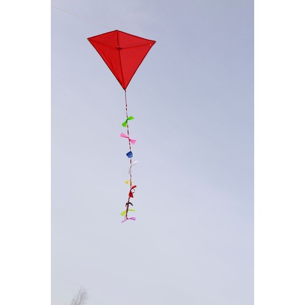 Drago di carta rossa Huckleberry - Kikkerland-image-1