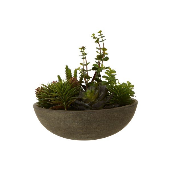 Succulente artificiali in vaso Fiori - Premier Housewares