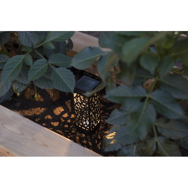 Set di 3 lanterne solari LED appese, altezza 11 cm Izola - Star Trading-image-2