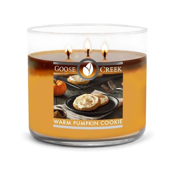 Candela profumata in vaso di vetro Zucca calda, 35 ore di combustione - Goose Creek