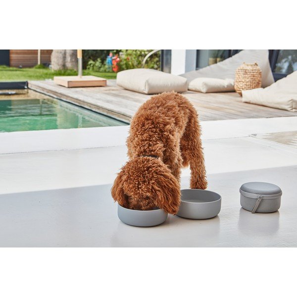 Set di ciotole da viaggio in silicone per cani ø 19 cm Bento Concrete/Slate - MiaCara-image-3