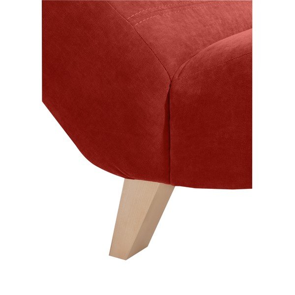 Bradipo rosso Norris Velor - Max Winzer-image-4