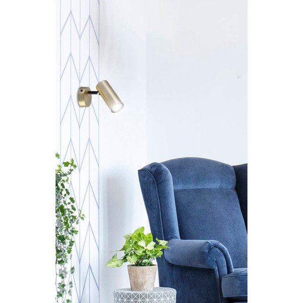 Faretto dorato in metallo 8x16 cm Colly – Candellux Lighting-image-1