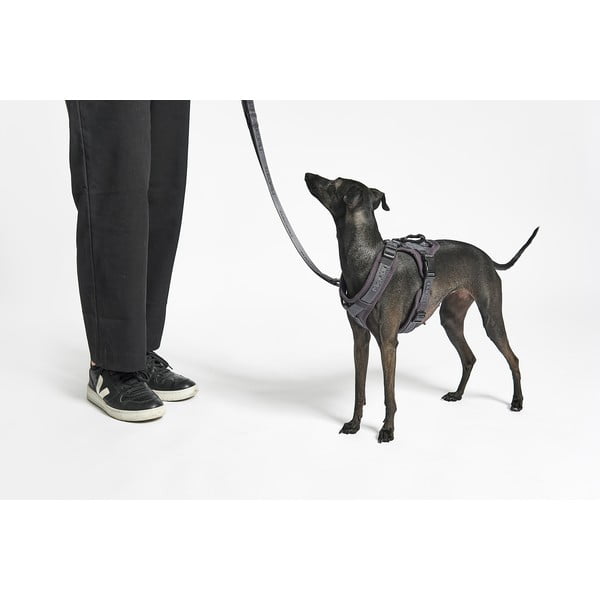 Pettorina beige taglia XS lunghezza 25 cm Modena Greige XS - MiaCara-image-2