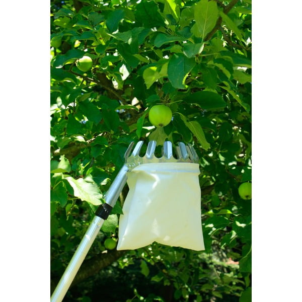 Coglifrutta - Garden Pleasure-image-2