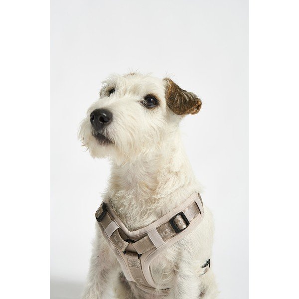 Pettorina beige taglia S lunghezza 30 cm Modena Greige S - MiaCara-image-1