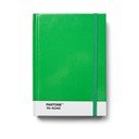 Taccuino Green 16-6340 - Pantone
