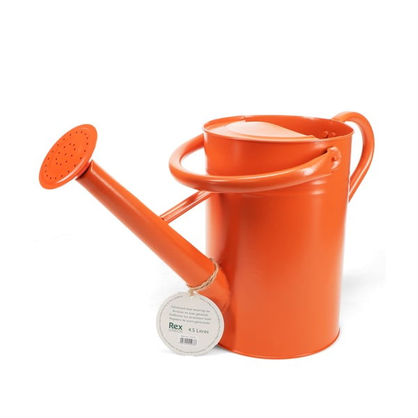 Annaffiatoio in metallo 4,5 l – Rex London-image-2