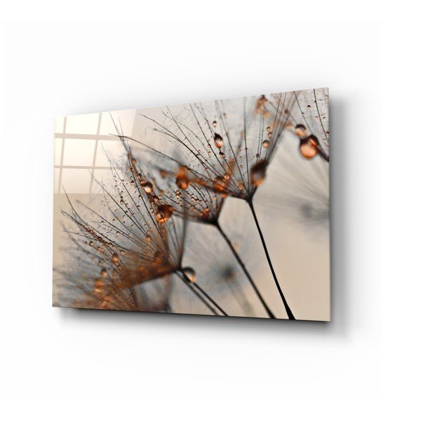 Pittura su vetro , 72 x 46 cm Cinnamon Dandelion - Insigne