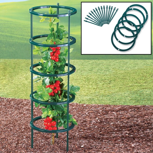 Supporto rampicante per piante da esterno - Garden Pleasure-image-1