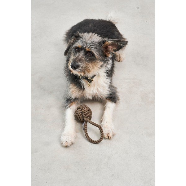 Giocattolo per cani Nodo Chocolate – MiaCara-image-1