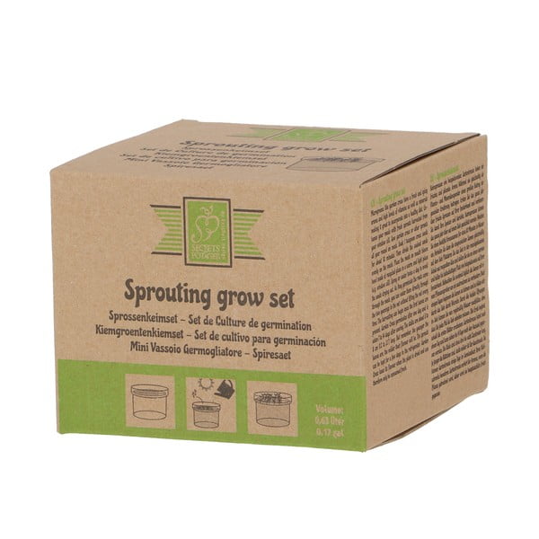 Vaso per germogli ø 12 cm - Esschert Design-image-3