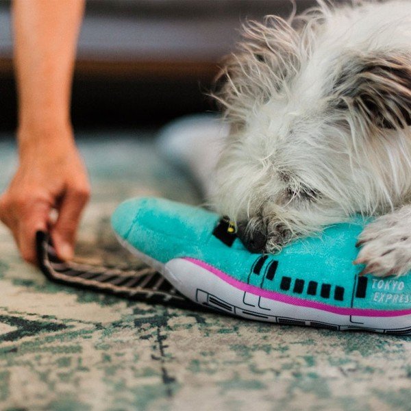 Giocattolo per cani Train - P.L.A.Y.-image-1