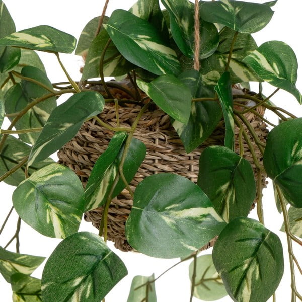 Piante artificiali in set da 2 (altezza 50 cm) - Casa Selección-image-1