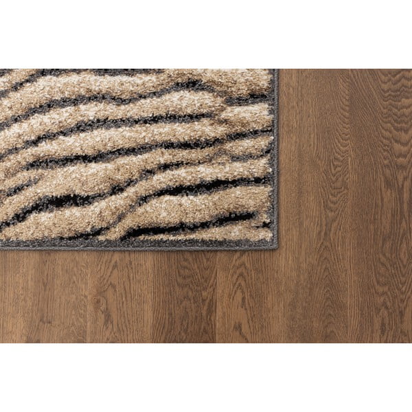 Tappeto marrone 160x220 cm Avanti - FD-image-3