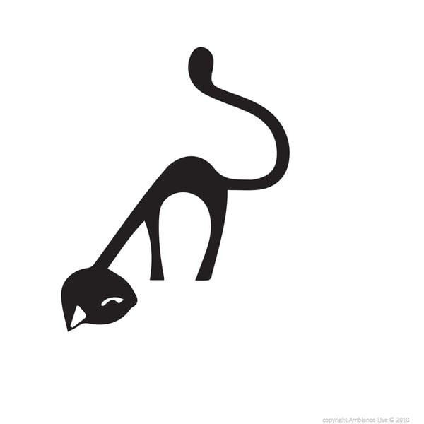 Gatto adesivo divertente - Ambiance-image-1