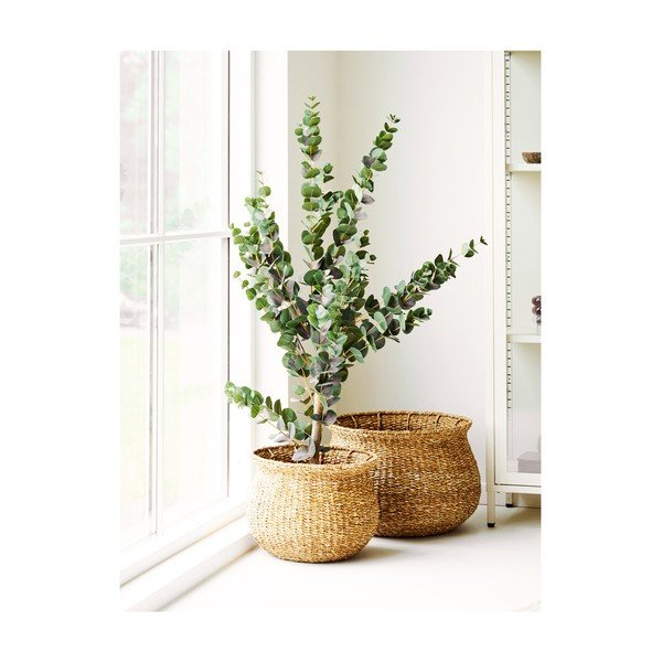 Set di vasi per fiori in erba marina 2 pz ø 46 cm Eden – House Nordic-image-2