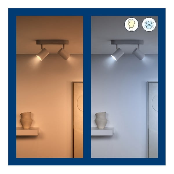 Faretto smart con presa GU10 5 W Imageo – WiZ-image-3