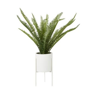 Felce artificiale (altezza 56 cm) Fiori - Premier Housewares