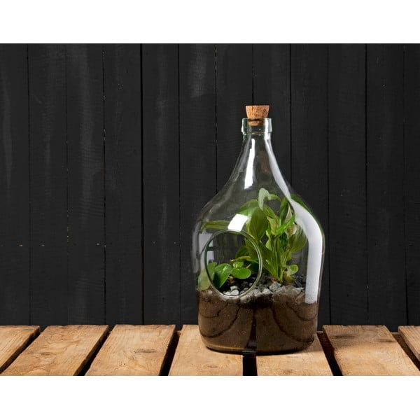 Aerario in vetro ø 20 cm - Esschert Design-image-1