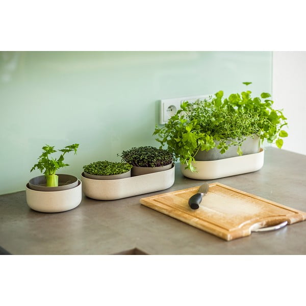 Ciotola in plastica per germogliare le erbe ø 16 cm Regrow - Plastia-image-2