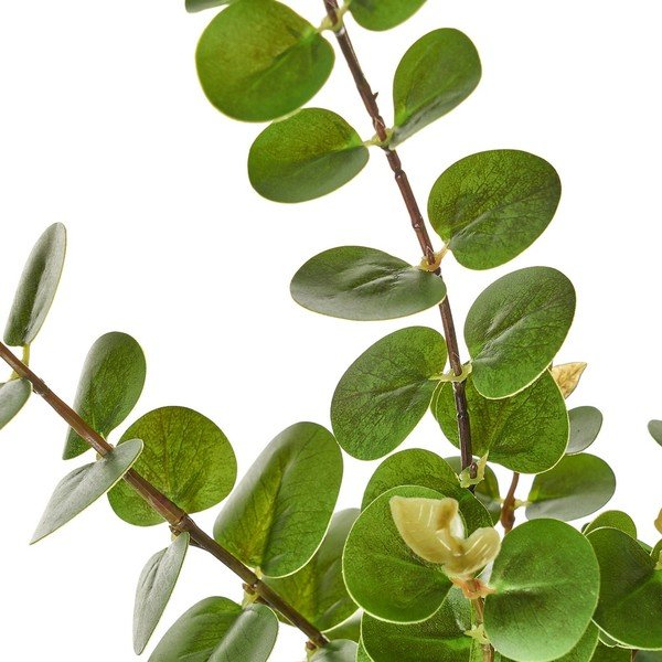 Eucalipto artificiale - Casa Selección-image-2