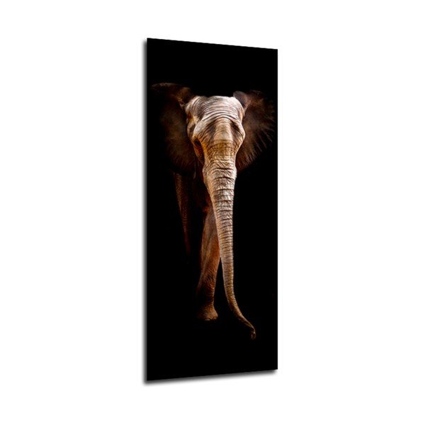 Immagine , 125 x 50 cm Elephant - Styler-image-1