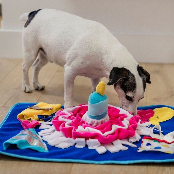 Annusare la coperta Pawty - P.L.A.Y.-image-1