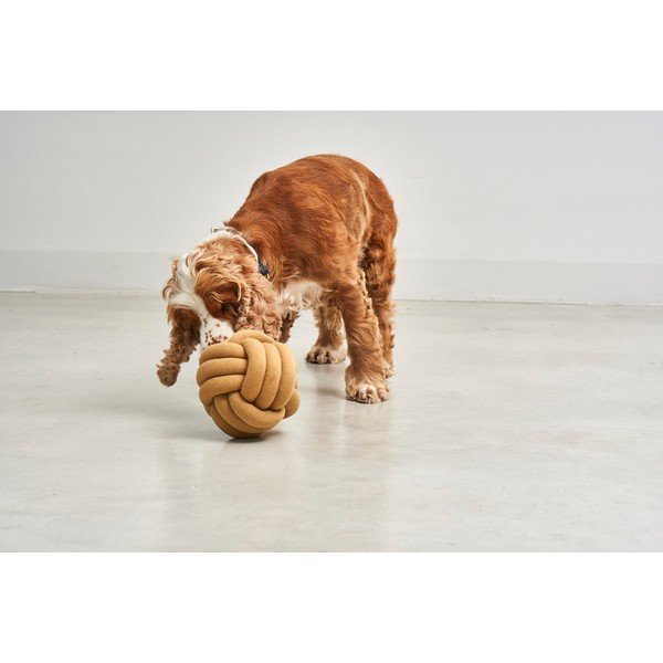 Giocattolo per cani Tubo Curry – MiaCara-image-1