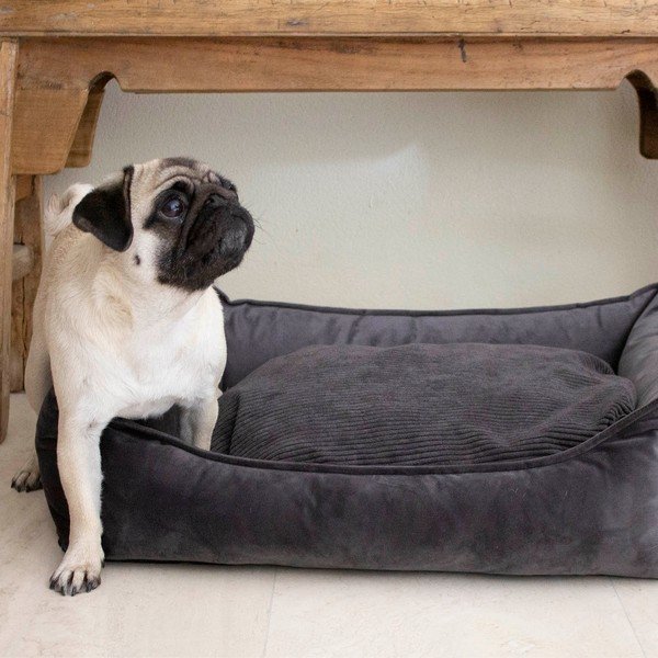 Cuccia per cani Cocoon grigio antracite, 70 x 60 cm - Ego Dekor-image-1