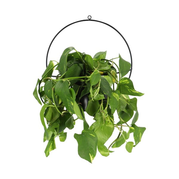 Portavaso appeso in metallo Planter - Esschert Design-image-1