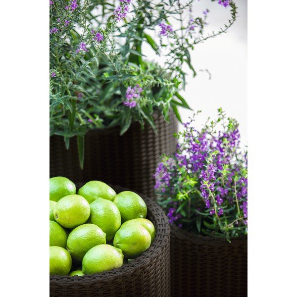 Vasi in plastica in set da 3 pezzi ø 43 cm Cylinder - Keter-image-1