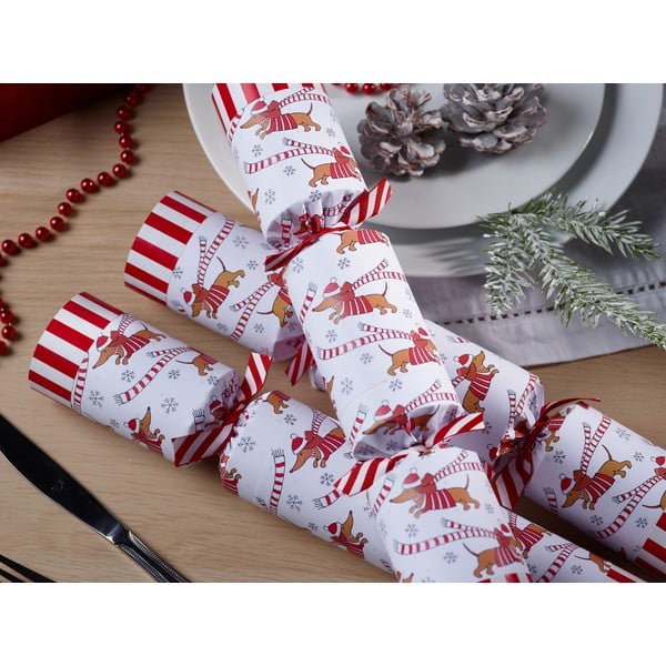 Set di cracker natalizi 6 pz Racing Sausage Dog – Robin Reed-image-3