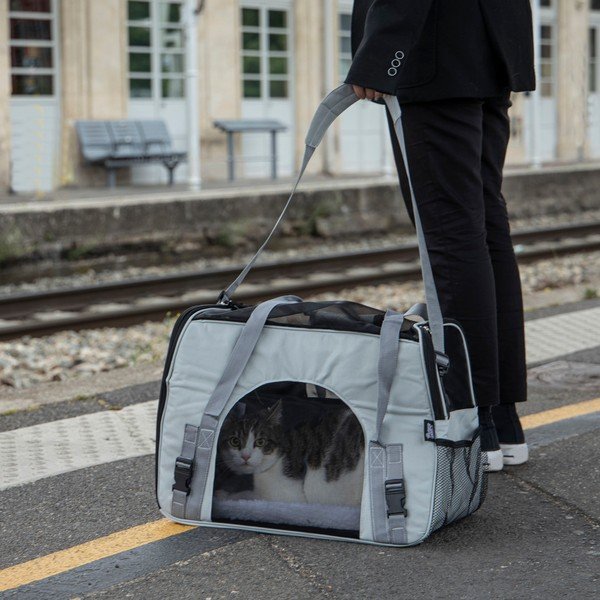 Borsa per animali domestici 25,5x48 cm - Love Story-image-1