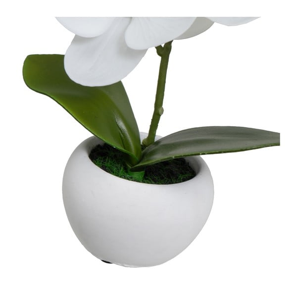 Piante artificiali in set da 3 (altezza 15 cm) Orchid - Casa Selección-image-2