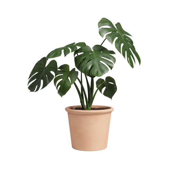 Vaso in terracotta ø 39 cm Saramago Cilindro - Artevasi-image-1