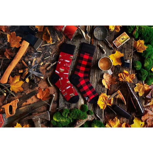 Calzini, taglia 35-38 Lumberjack Life - Many Mornings-image-2