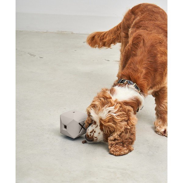 Giocattolo per cani Dado Greige – MiaCara-image-2