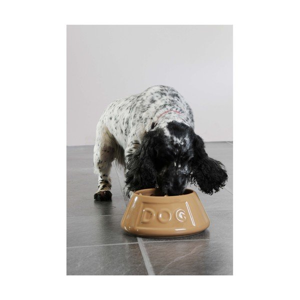 Ciotola per cani in gres, ø 21 cm Pet Cane Dog - Mason Cash-image-4