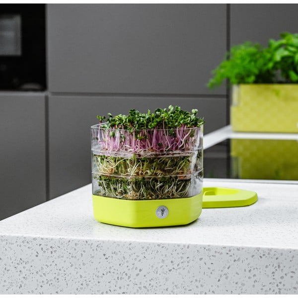 Vasetto per germogli in plastica ø 17 cm Mungo – Flower Lover-image-4