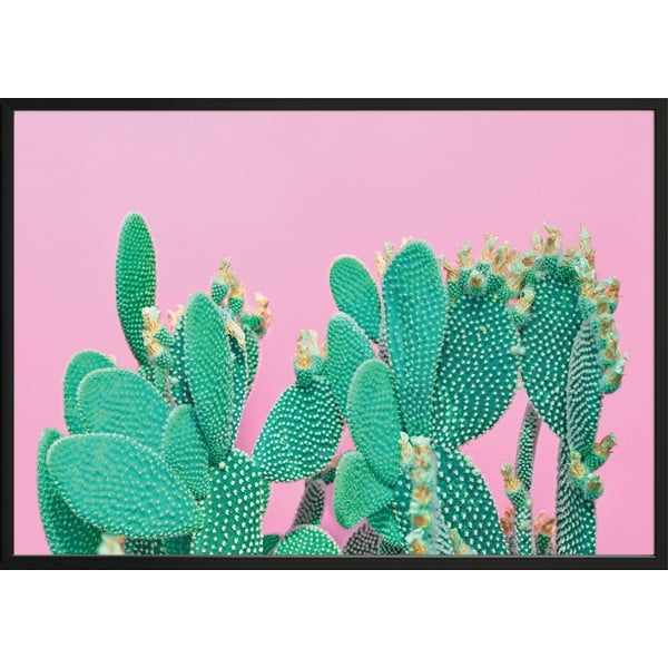Poster da parete in cornice CACTUS, 70 x 100 cm Cactus - DecoKing
