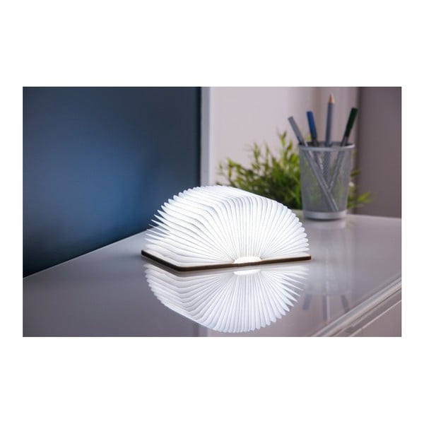 Decorazione luminosa di colore naturale con ricarica USB Booklight – Gingko-image-1