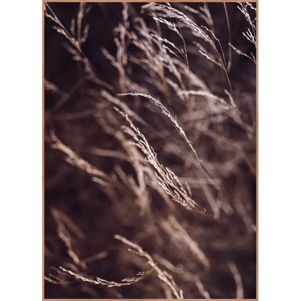 Poster con cornice 50x70 cm Mellow Grasses 7 - Malerifabrikken