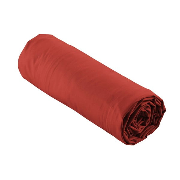 Lenzuolo elasticizzato in percalle di cotone color mattone 180x200 cm Percaline - douceur d'intérieur-image-4