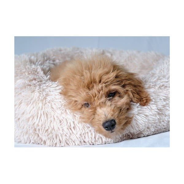 Letto per cani crema ø 55 cm - Love Story-image-3