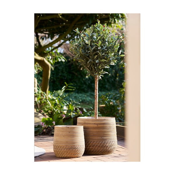 Set di cesti in rattan 2 pz ø 39x35 cm Moro – House Nordic-image-1