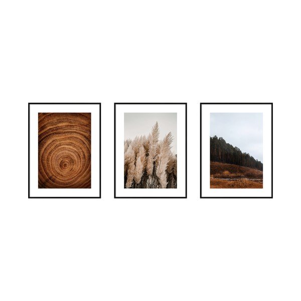 Set di 3 poster 30x40 cm Woods - knor