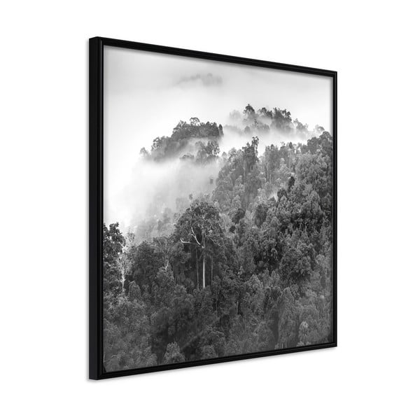 Poster in cornice , 50 x 50 cm Foggy Forest - Artgeist