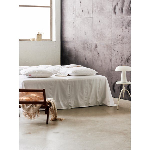 Cuscino con imbottitura in piume 50x60 cm Jack the Dullard – Ringsted Dun-image-3