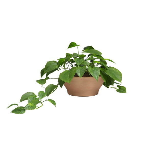 Vaso in terracotta ø 31 cm Saramago - Artevasi-image-1